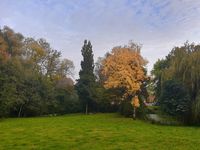 Hamkenshof - Herbstlicher Garten